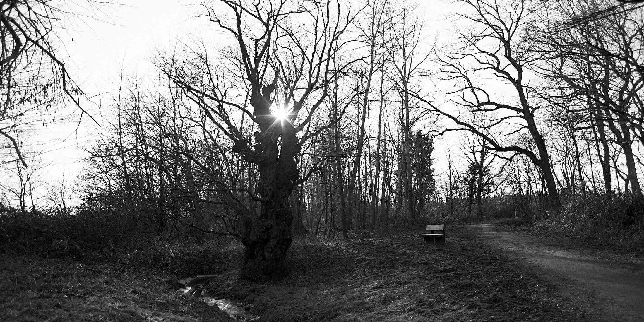 2018 02 24 Pentax 6x7  14